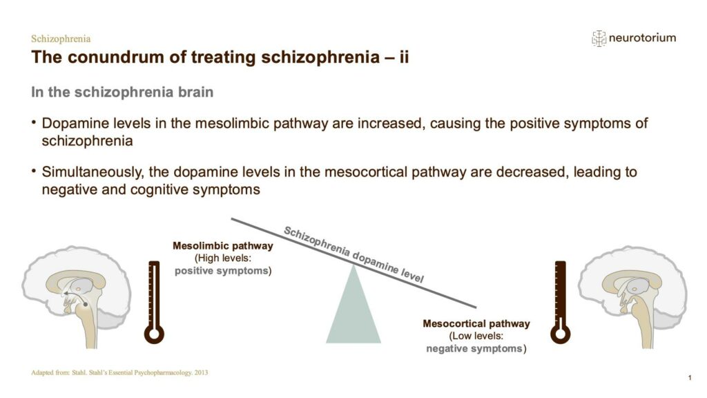 Schizophrenia - Neurobiology and Aetiology - slide 28